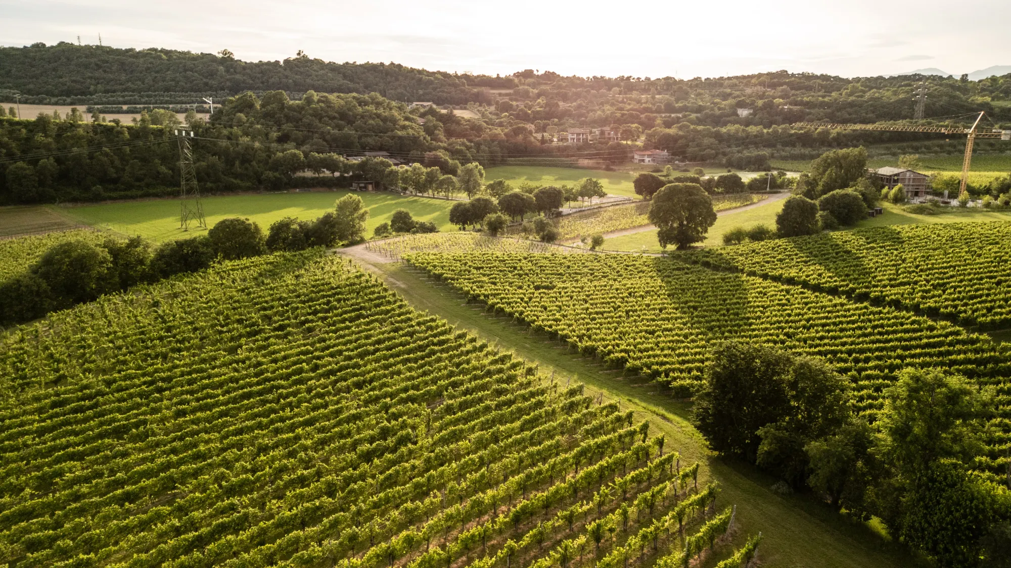 La terra da cui nasce