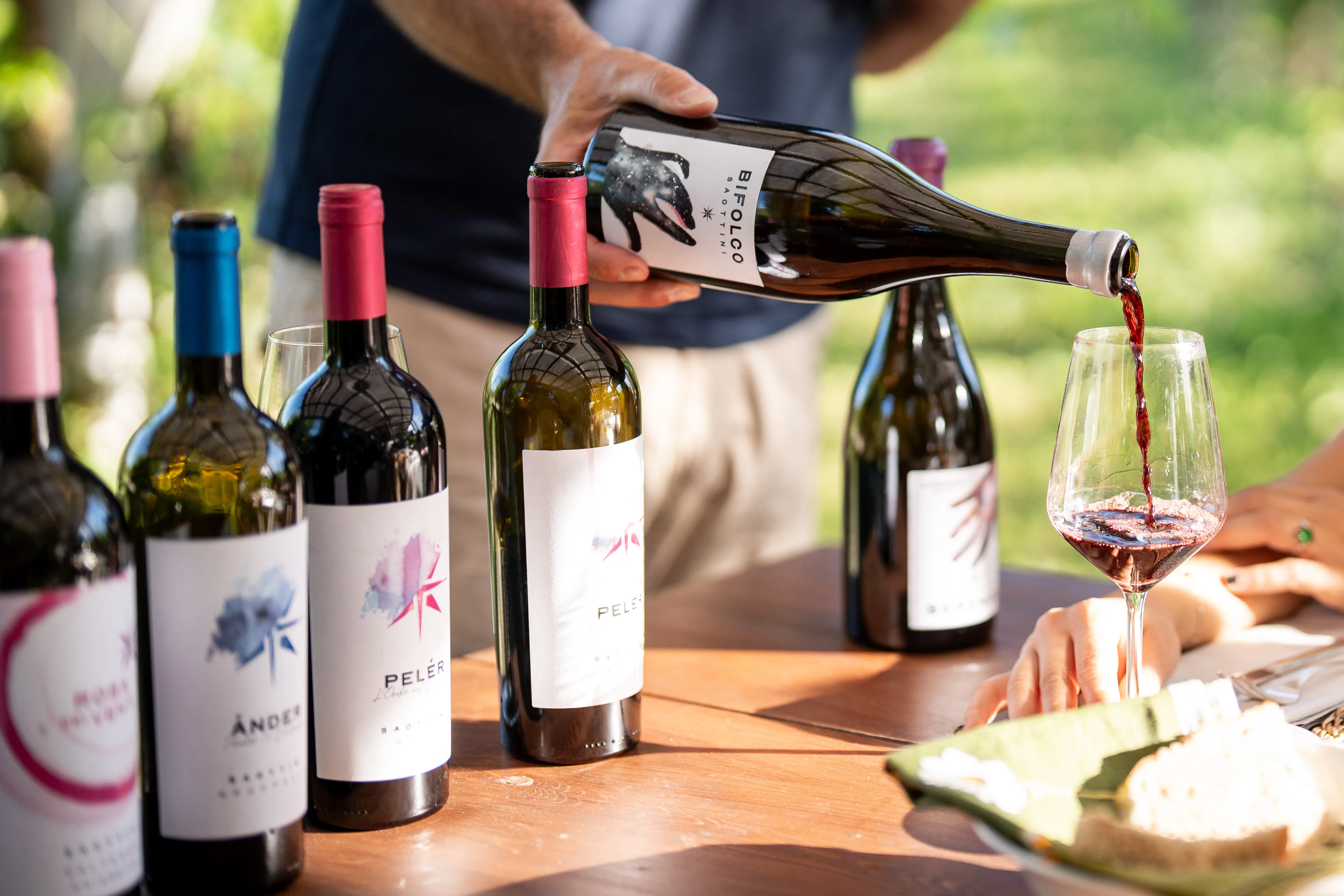 I vini Saottini in degustazione: bottiglie e un calice di rosso